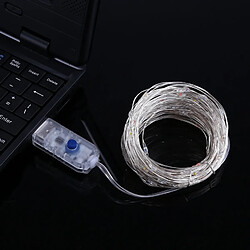 Wewoo Guirlande Argent 10m 100 LEDs