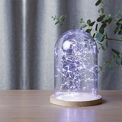 Guirlande Lumineuse 100 LED