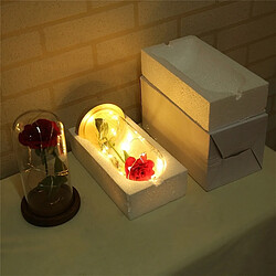 Avis Wewoo guirlande fleurs LED - Marron