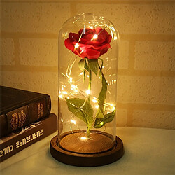 Guirlande lumineuse