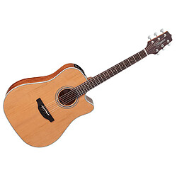 Takamine GD20CE-NS