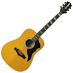 EKO Ranger Vintage Reissue VI