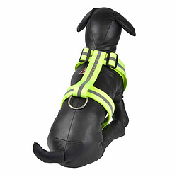 Equipement de transport pour chat