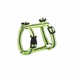 Equipement de transport pour chien Paris Prix