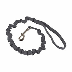 Laisse pour chien Paris Prix