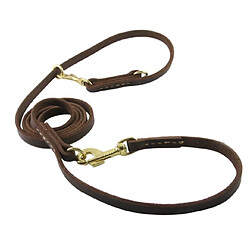 Equipement de transport pour chien Universal