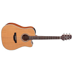 Takamine GD20CE-NS