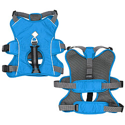 Harnais pour chien Bulldog - Bleu