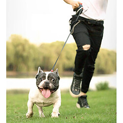 Universal Laisse Rétractable Noir pas cher