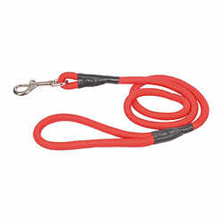 Laisse pour chien Paris Prix