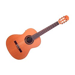 Guitare Prodipe