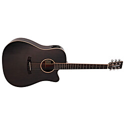 Tanglewood Winterleaf TW5 EBS CN