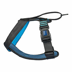 Company Of Animals Carsafe Crash Tested Bleu M