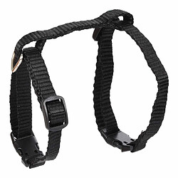 Equipement de transport pour chien