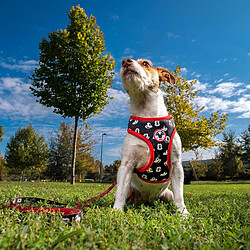 Acheter Disney Mickey Mouse Harnais pour Chien, Taille M/L - Noir