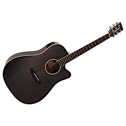 Tanglewood Winterleaf TW5 EBS CN