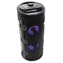 Enceinte Karaoké ELBE ALT88TWS