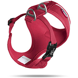 Equipement de transport pour chien