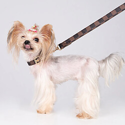 Acheter Collier PU Cuir Treillis XS