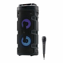 Enceinte Karaoké ELBE ALT88TWS