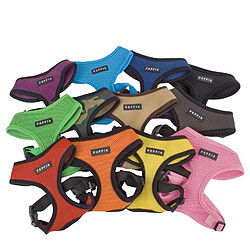 Equipement de transport pour chien Générique