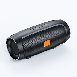 Haut-parleur Bluetooth sans fil - Noir