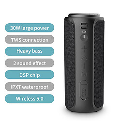 Haut-parleur Bluetooth 30W - Noir