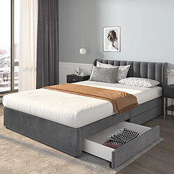 Acheter MIVRAY Lit adulte double 140x200 cm, 2 tiroirs de rangement et sommier, velours gris