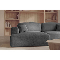 Acheter Casanova Canapé d'angle tissu velours 4 places Gris foncé Droit