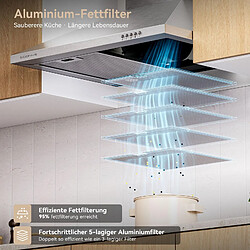 Acheter Hotte murale à filtre à charbon actif avec système de recyclage, 60 cm, 1001G-Argent