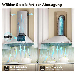 Avis Hotte murale à filtre à charbon actif avec système de recyclage, 60 cm, 1001G-Argent