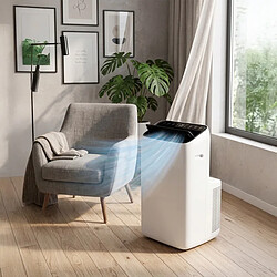 Avis Climatiseur Portable Réversible 12000 Btu - Refroidissement & Chauffage