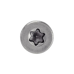Avis ACTON 643096X50/30 - Vis à aggloméré tête fraisée Torx - Inox A4 - 100