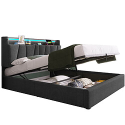 HAUSS SPOLE Lit coffre 140x200 cm Lit gigogne - Gris pas cher