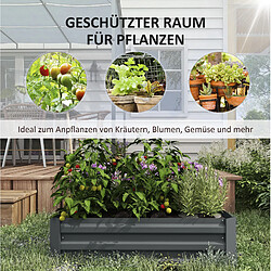 Acheter STILVORA Carré potager 100/100/30 cm gris foncé en acier lot de 2 pour extérieur