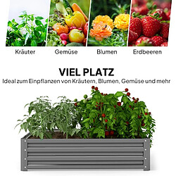 STILVORA Carré potager 120/120/30 cm gris clair aus acier galvanisé avec fond ouvert pas cher