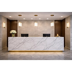 Avis Protocole Home PS103 - Calacatta - 122 x 260 cm