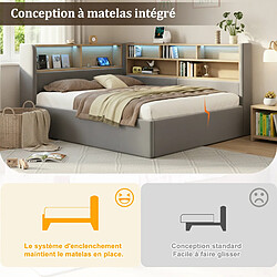 Acheter HAUSS SPOLE Lit banquette 140×200 cm, couchage double avec coffre hydraulique, LED et ports USB Type-C, idéal en chambre, design en velours gris, sans matelas