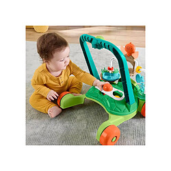 Avis Fisher Price Fisher-Price Trotteur Tortue Moves with You - JKD63 - Trotte avec 5 balles - Multicolore