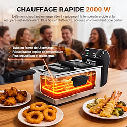 Acheter YASHE Friteuse électrique, 3 L, 2000 W, fenêtre, acier inoxydable