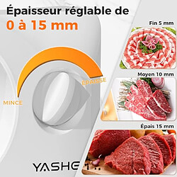 Acheter YASHE Trancheuse électrique pliable, 180 W, lame Ø 17 cm, blanche