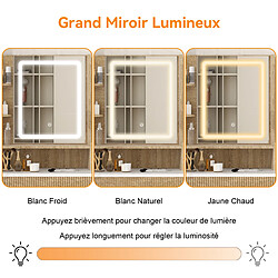 Avis Coiffeuse - Puluomis - Miroir de maquillage LED - étagères latérales, multiprise USB, tabouret coffre rembourré - 60 x 40 x 139 cm
