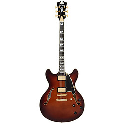 Avis Excel DC Amaretto Burst D'Angelico