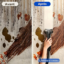 Acheter Teendow Shampouineuse canape 4 en 1 de 16000 Pa 1 800 W - vapeur = 100 °C-deux réservoirs d'eau