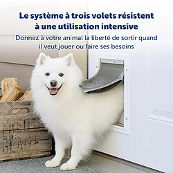 Chatière