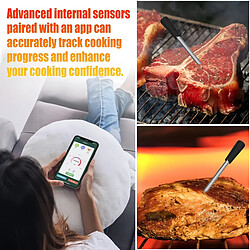 Acheter ByteLike Thermomètre à viande sans fil Bluetooth double sonde avec écran