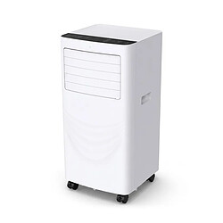 Acheter Climatiseur Portable Réversible 12000 Btu - Wi-fi - Froid Et Chaud