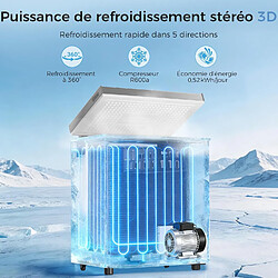 Acheter YASHE Congélateur coffre, 150 L, 2 paniers, moins de 45 dB, argent