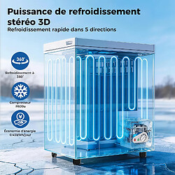 Acheter YASHE Congélateur coffre, 100 L, 2 paniers, 45 dB, blanc
