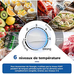 Avis YASHE Congélateur coffre, 100 L, 2 paniers, 45 dB, blanc